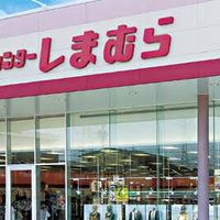 しまむらが好き( ᐡ. ̫ .ᐡ )